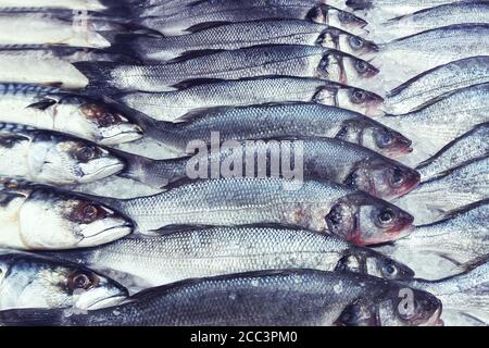 Reihen von frischem Fisch auf Eis im Supermarkt Display Stockfoto