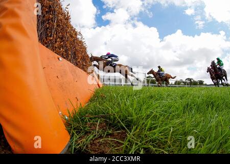 Eine allgemeine Ansicht, als Läufer einen Flug von Hürden auf Fontwell Park Racecourse zu überwinden. Stockfoto