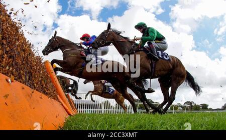 Eine allgemeine Ansicht, wie Läufer einen Flug von Hürden in der Visit attheraces.com Novizen' Hurdle auf Fontwell Park Racecourse. Stockfoto