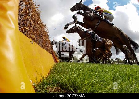 Eine allgemeine Ansicht, wie Läufer einen Flug von Hürden in der Visit attheraces.com Novizen' Hurdle auf Fontwell Park Racecourse. Stockfoto