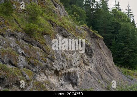 Blick auf einen alten Kalksteinbruch mit Moos und Bäumen überwuchert. Fichten im Hintergrund. Stockfoto