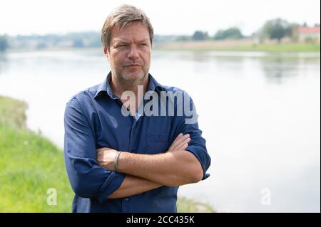 Zeithain, Deutschland. August 2020. Robert Habeck, Bundesvorsitzender von Bündnis 90/die Grünen, steht während seiner Sommertour am Elbufer. Habeck will auf seiner Reise herausfinden, wie das Land widerstandsfähiger und krisensicherer werden kann, als Lehre aus der Corona-Krise. Quelle: Sebastian Kahnert/dpa-Zentralbild/dpa/Alamy Live News Stockfoto