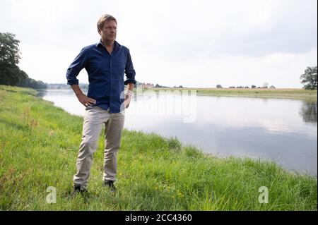 Zeithain, Deutschland. August 2020. Robert Habeck, Bundesvorsitzender von Bündnis 90/die Grünen, steht während seiner Sommertour am Elbufer. Habeck will auf seiner Reise herausfinden, wie das Land widerstandsfähiger und krisensicherer werden kann, als Lehre aus der Corona-Krise. Quelle: Sebastian Kahnert/dpa-Zentralbild/dpa/Alamy Live News Stockfoto