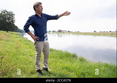 Zeithain, Deutschland. August 2020. Robert Habeck, Bundesvorsitzender von Bündnis 90/die Grünen, steht während seiner Sommertour am Elbufer. Habeck will auf seiner Reise herausfinden, wie das Land widerstandsfähiger und krisensicherer werden kann, als Lehre aus der Corona-Krise. Quelle: Sebastian Kahnert/dpa-Zentralbild/dpa/Alamy Live News Stockfoto