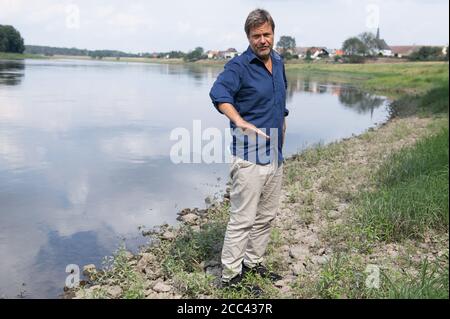 Zeithain, Deutschland. August 2020. Robert Habeck, Bundesvorsitzender von Bündnis 90/die Grünen, steht während seiner Sommertour am Elbufer. Habeck will auf seiner Reise herausfinden, wie das Land widerstandsfähiger und krisensicherer werden kann, als Lehre aus der Corona-Krise. Quelle: Sebastian Kahnert/dpa-Zentralbild/dpa/Alamy Live News Stockfoto