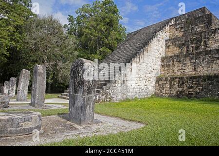 Alte Ruinen von Tikal / Yax Mutal, alte Maya-Stadt in der Nähe der Stadt Flores, Petén Department, Guatemala, Mittelamerika Stockfoto