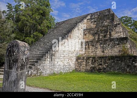 Alte Ruinen von Tikal / Yax Mutal, alte Maya-Stadt in der Nähe der Stadt Flores, Petén Department, Guatemala, Mittelamerika Stockfoto