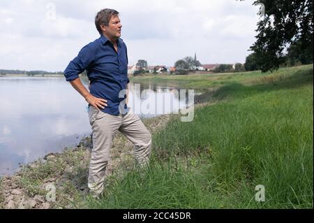 Zeithain, Deutschland. August 2020. Robert Habeck, Bundesvorsitzender von Bündnis 90/die Grünen, steht während einer Sommertour am Ufer der Elbe. Habeck will auf seiner Reise herausfinden, wie das Land widerstandsfähiger und krisensicherer werden kann, als Lehre aus der Corona-Krise. Quelle: Sebastian Kahnert/dpa-Zentralbild/dpa/Alamy Live News Stockfoto