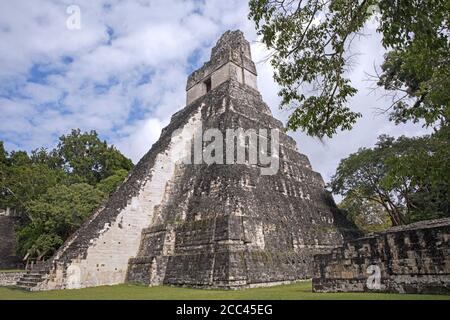 Tempel Pyramide in Tikal / Yax Mutal, alte Maya-Stadt in der Nähe der Stadt Flores, Petén Department, Guatemala, Mittelamerika Stockfoto