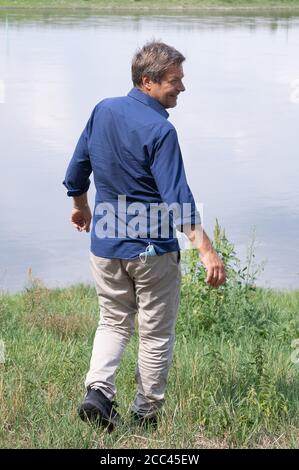 Zeithain, Deutschland. August 2020. Robert Habeck, Bundesvorsitzender von Bündnis 90/die Grünen, geht auf Sommertour an die Elbe. Habeck will auf seiner Reise herausfinden, wie das Land widerstandsfähiger und krisensicherer werden kann, als Lehre aus der Corona-Krise. Quelle: Sebastian Kahnert/dpa-Zentralbild/dpa/Alamy Live News Stockfoto