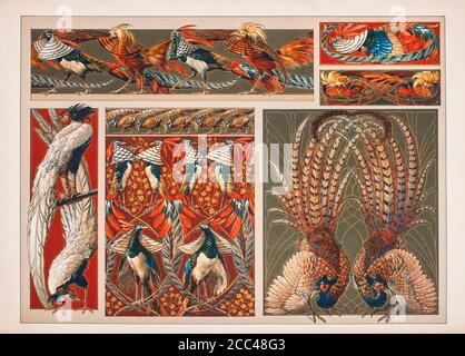 Art Nouveau Lithograph Druck von Anton SEDAR. Tierserie: Pfauen. 1900 Anton Johann Nepomuk Seder (1850 - 1916) war ein deutscher Maler und Dekorateur Stockfoto