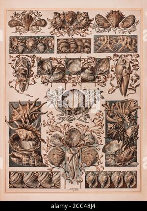 Art Nouveau Lithograph Druck von Anton SEDAR. Tierserien. 1900 Anton Johann Nepomuk Seder (1850 - 1916) war ein deutscher Maler und Dekorateur, Professo Stockfoto