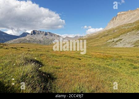 Berge und Wiesen des Parc national de la Vanoise Stockfoto