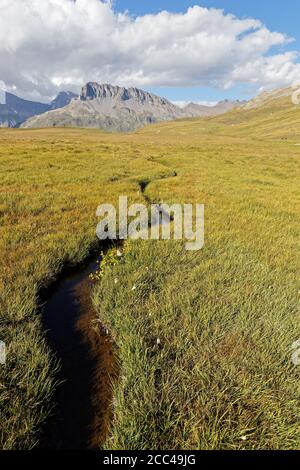 Ein kleiner Fluss fließt durch die Wiesen vom Berg Stockfoto