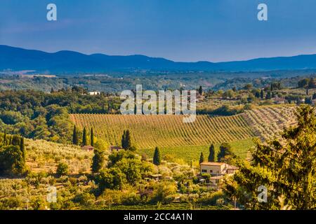 Malerischer Blick auf ein schönes Tal in San Gimignano. Eine typische landwirtschaftliche Landschaft mit Häusern, Olivenhainen und einem Weinberg auf einem schönen... Stockfoto