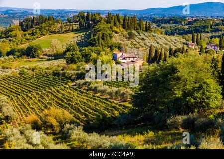 Herrlicher Panoramablick auf ein Haus mit einem Weinberg und einem Olivenbaum Obstgarten umgeben von Bäumen in der typischen landwirtschaftlichen toskanischen Landschaft des... Stockfoto