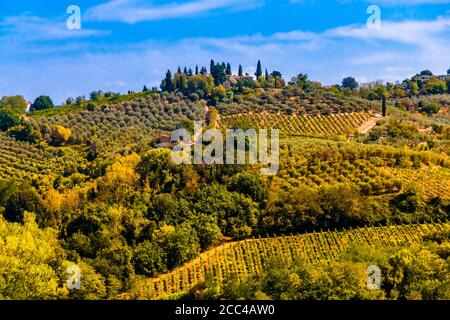 Atemberaubender Panoramablick auf einen Bauernhof auf einem Hügel mit Weinbergen und Olivenhainen in der Landschaft von San Gimignano mit einem blauen Himmel. Wunderschön... Stockfoto