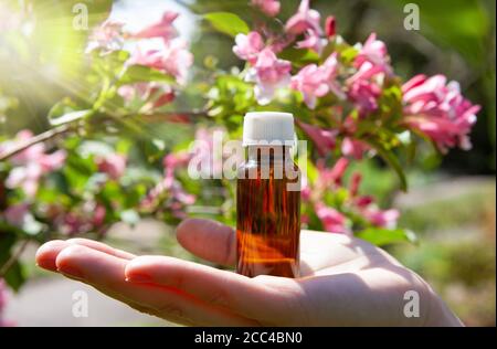 Das Konzept der organischen Essenzen, natürliche Schönheit und Gesundheitsprodukte. Stockfoto