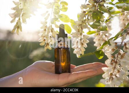 Phytotherapie - Flasche mit weißen Akazienblüten Hintergrund. Stockfoto