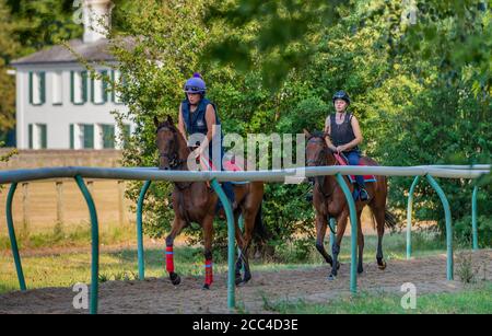 The Severals, Newmarket, Suffolk, England, Großbritannien – Racehorse auf dem Weg zu den Galoppern Stockfoto