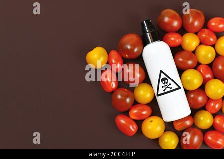 Konzept für den Einsatz gefährlicher Pestizide in landwirtschaftlichen Lebensmitteln Mit Tomaten und Sprühflasche mit giftigem Warnschild mit Totenkopf im Dunkeln Stockfoto