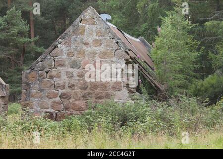 Verkommen einstöckiges Steingebäude im Wald Stockfoto