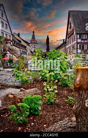 Gengenbach Schwarzwald Schwarzwald Deutschland Stockfoto