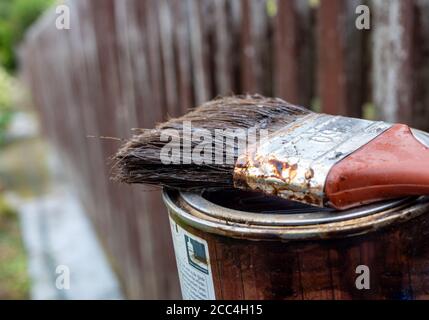 Malen Sie einen Pinsel mit Farbe auf den Holzzaun Stockfoto