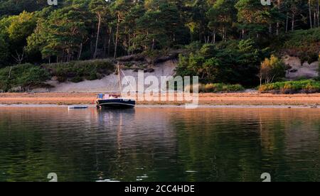 Kleines Segelboot vor Brownsea Island in Poole Harbour, Dorset, England, Großbritannien verankert Stockfoto