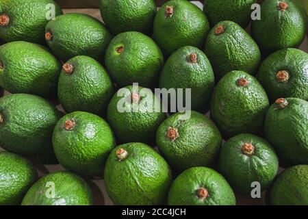 Frische Avocados auf dem Gemüsemarkt Draufsicht. Gesunde Ernährung Konzept. Hochwertige Fotos Stockfoto