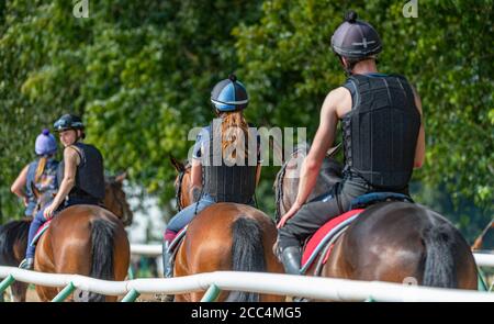 The Severals, Newmarket, Suffolk, England, UK – Rennpferd auf dem frühen Morgen Übung weg vom Trainer Hof auf dem Weg zu den Galopprennern Stockfoto