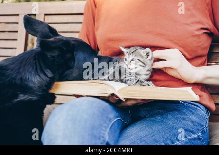 Zugeschnittenes Bild eines Mädchens, das im Garten ein Buch liest, während ihre Haustiere (Hund und kleines Kätzchen) zusammen spielen. Eine junge Katze sieht oder trifft einen Hund für Stockfoto