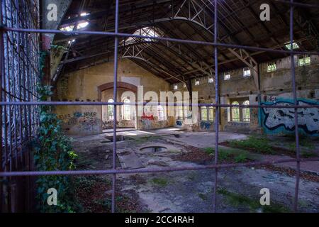 Wernigerode, Deutschland. August 2020. Blick in das historische Palmenhaus im Lustgarten Wernigerode. Die Schlossgärten sind Teil des Netzwerks 'Gartenträume - Historische Parks in Sachsen-Anhalt', das in diesem Jahr sein 20-jähriges Bestehen feiert. Quelle: Klaus-Dietmar Gabbert/dpa-Zentralbild/ZB/dpa/Alamy Live News Stockfoto
