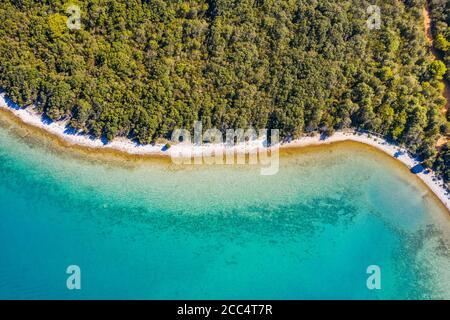 Luftaufnahme der Adriaküste in Kroatien, Insel Dugi otok. Pinienwälder, lange versteckte geheime Strände und smaragdgrüne Meeresoberfläche, touristisches Paradies Stockfoto