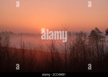 Ein nebliger Sonnenaufgang auf Backheath Common, Surrey, England Stockfoto