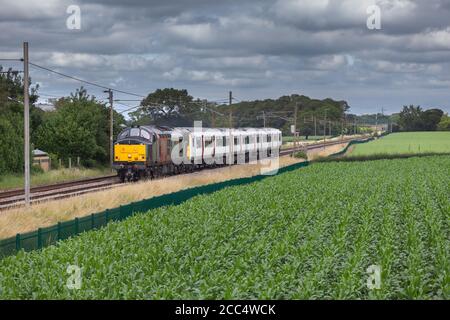 Rail Operations Group Baureihe 37 Diesellokomotive 37884 auf der west Coast Hauptlinie schleppt eine größere Anglia Klasse 317 elektrisch Trainieren Stockfoto