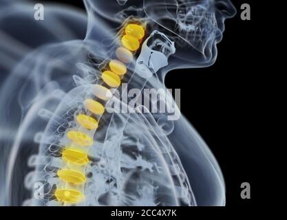 Anatomiedarstellung von Bandscheiben der menschlichen Wirbelsäule. 3d-Illustration Stockfoto