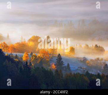 Ländliche Herbstlandschaft. Natürliche Landschaft. Der Rasen wird von den Sonnenstrahlen erleuchtet. Fantastische Landschaft mit Morgennebel. Grüne Wiesen im Frost. Stockfoto