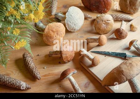 Gruppe von frischen Wildpilzen auf einem Holztisch, Waldernte, Draufsicht, rustikaler Stil Stockfoto