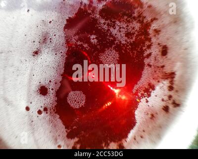 Die Univers in einem Glas in Nahaufnahme, Garten Makro-Fotografie. Stockfoto