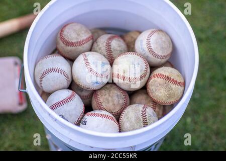 Hamburg, Deutschland. August 2020. Bälle für das Baseballspiel sind in einem Eimer. Quelle: Jens Büttner/dpa-Zentralbild/ZB/dpa/Alamy Live News Stockfoto