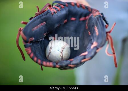 Hamburg, Deutschland. August 2020. Es gibt einen Baseball in einem Fäustling. Quelle: Jens Büttner/dpa-Zentralbild/ZB/dpa/Alamy Live News Stockfoto