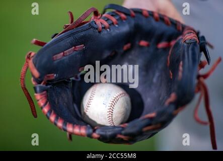 Hamburg, Deutschland. August 2020. Es gibt einen Baseball in einem Fäustling. Quelle: Jens Büttner/dpa-Zentralbild/ZB/dpa/Alamy Live News Stockfoto