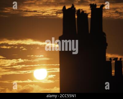 Sheerness, Kent, Großbritannien. August 2020. UK Wetter: sonnenaufgang in Sheerness, Kent. Kredit: James Bell/Alamy Live Nachrichten Stockfoto