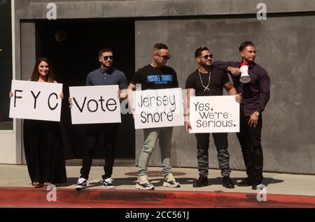 LOS ANGELES - JUN 15: Deena Nicole Cortese, Vinny Guadagnino, Mike die Situation, Ronnie Ortiz-Magro, Pauly D an der Jersey Shore FYC Cast Photo Call an der Melrose Avenue am 15. Juni 2018 in West Hollywood, CA Stockfoto