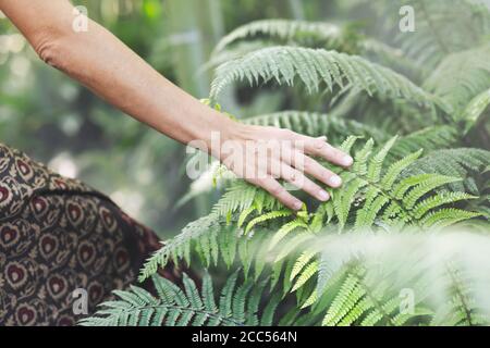 Reisende Frau berührt sanft ein Blatt in der Mitte der Natur; Konzept von Respekt und Harmonie Stockfoto