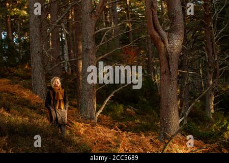 Eine Frau, die zu Fuß in einem Wald mit vielen orange Farne Stockfoto