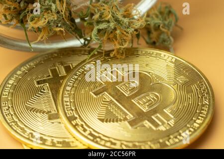 Bitcoin Makro Foto mit Cannabis Knospen. Kauf von Medikamenten für Kryptowährungen Stockfoto