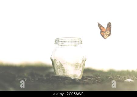 Freiheitskonzept eines Schmetterlings, der glücklich in der Luft fliegt Stockfoto