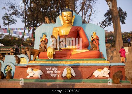 Assam Makaken-Affen umgeben eine Statue des Buddha im Swayambhunath Tempel in Kathmandu, Nepal. Stockfoto